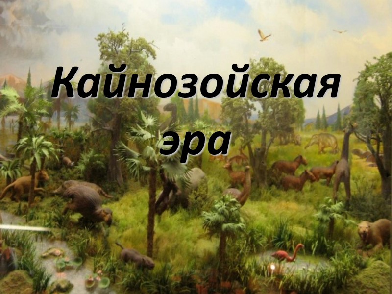 Кайнозойская эра